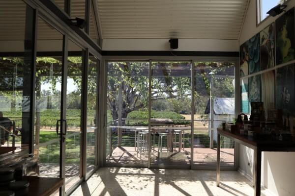 view-of-the-big-tree-and-wines-from-the-upper-reach-cellar-door