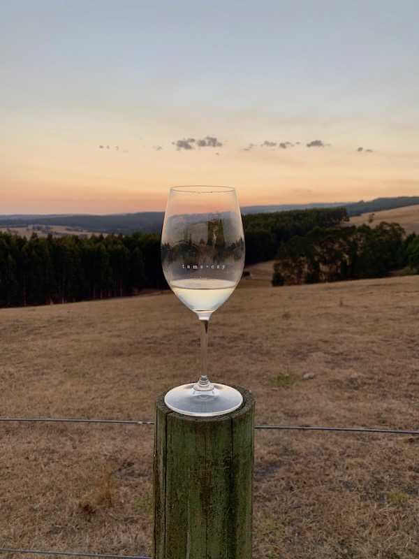 Riedel Glass - Toms Cap Vineyard at Sunset