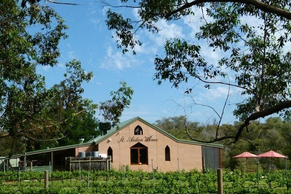 st aidan winery building and vines