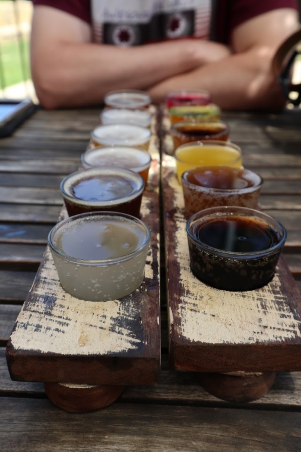 two paddles of flavoured beer at bushshack brewery