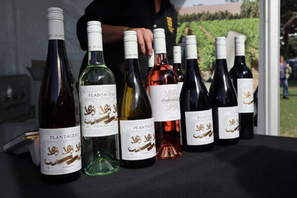 wine bottles for tasting at the plantagent wine stand albany wine and food festival