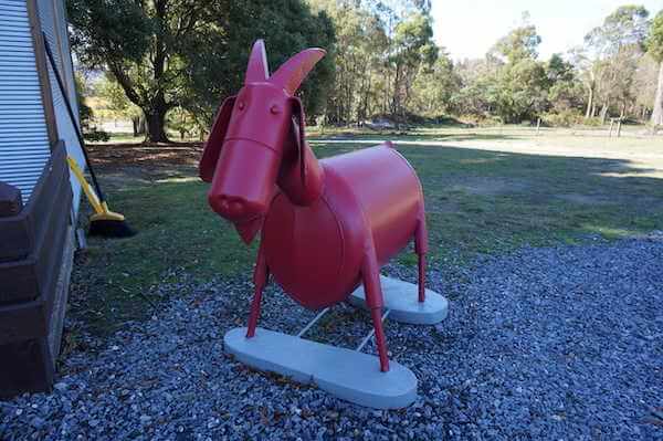 Goat at Goaty Hill Wines- Tasmania