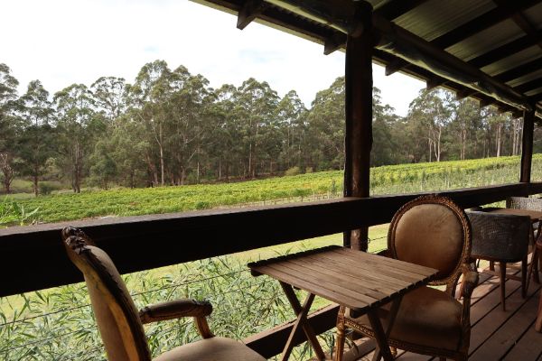 verandah with chairs and tables looking over vines and apple trees at paul nelson vineyard on scotsdale road denmark wine region