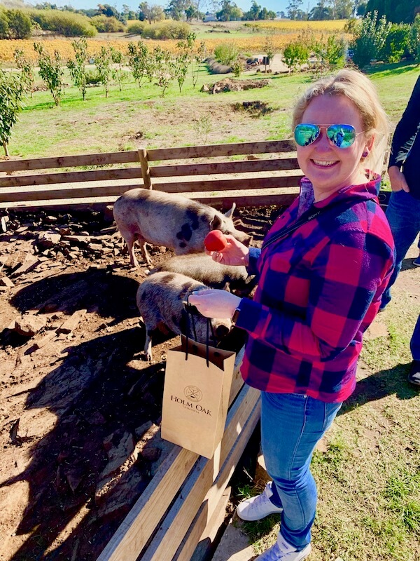Casey feeding the pigs at Holm Oak in the Tamar Valley - Tasmania Winery