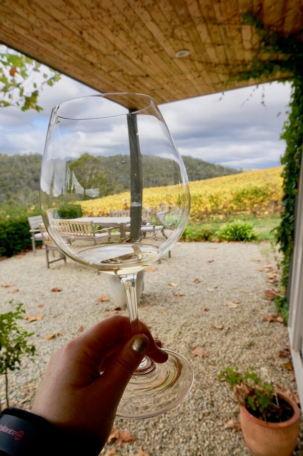 Tasting Chardonnay at Sinapius Cellar Door - Tamar Valley - Tasmania