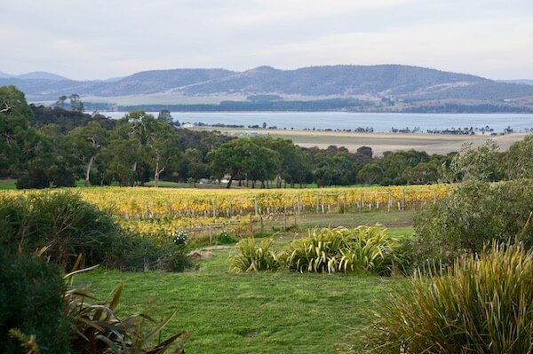 View from Coal Valley Vineyard - Tasmania