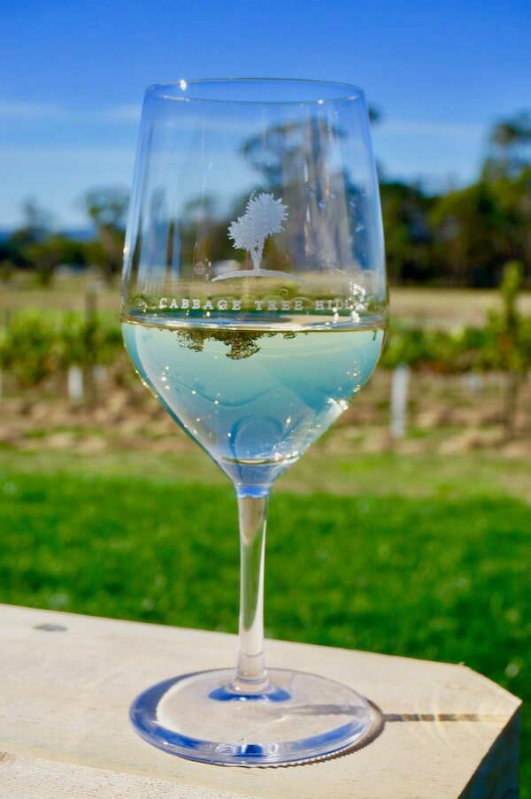 Wine glass with vineyard in background - Cabbage Tree Wines - Tamar Valley, Tasmania