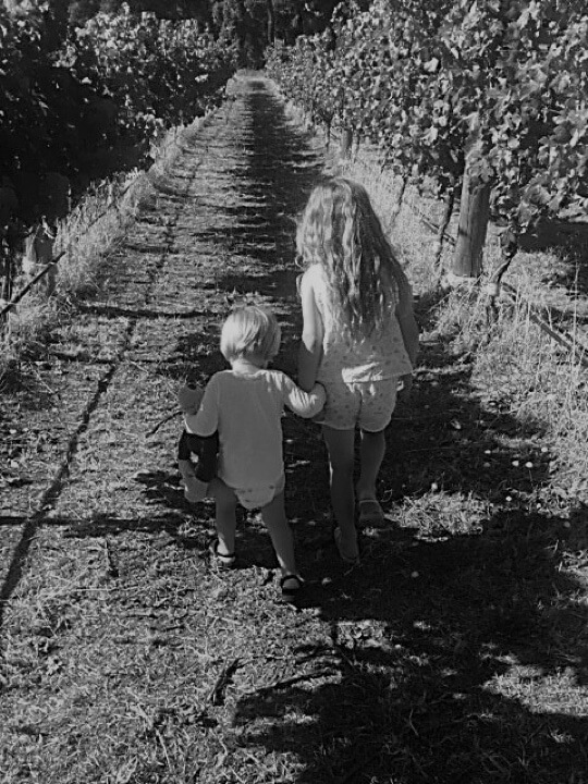 Grandchildren in the vineyard at Stonegaze, Margaret River