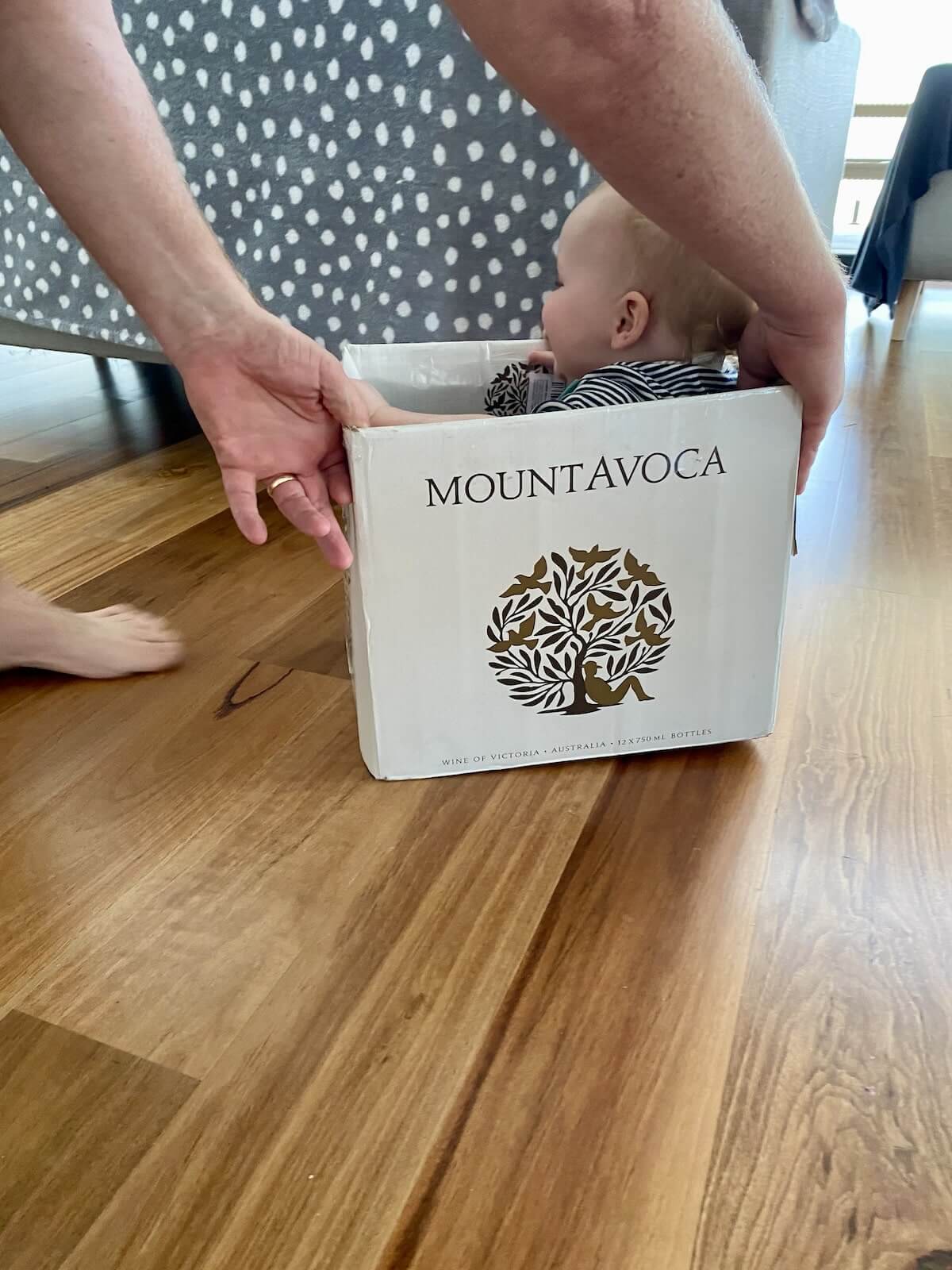 Baby-in-Mount-Avoca-Wine-Box
