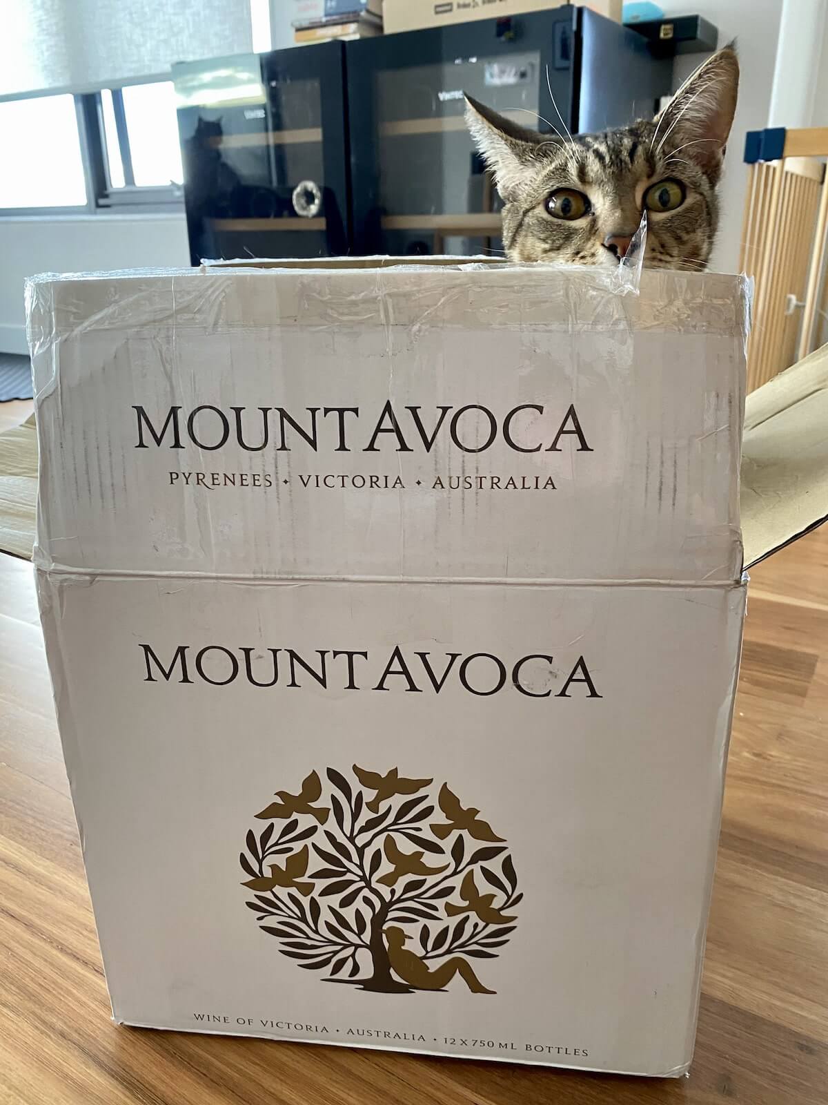 Cat-in-Mount-Avoca-Organic-Wine-Box