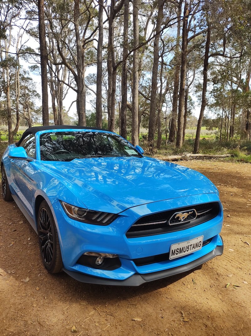 Mr Mustang Hire - Blue Mustang