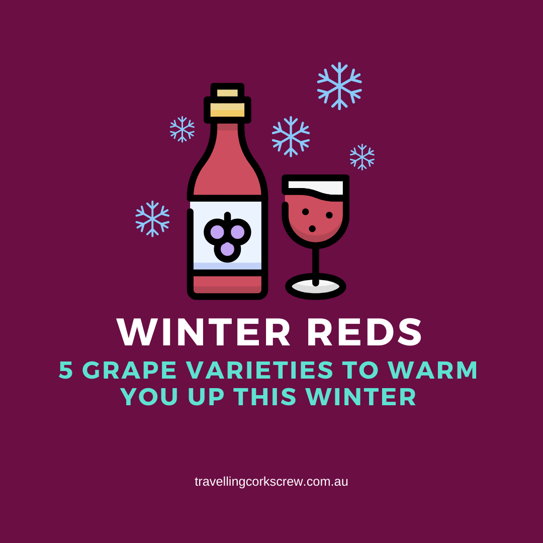 The Best Winter Red Wines: 5 Grape Varieties To Warm You Up