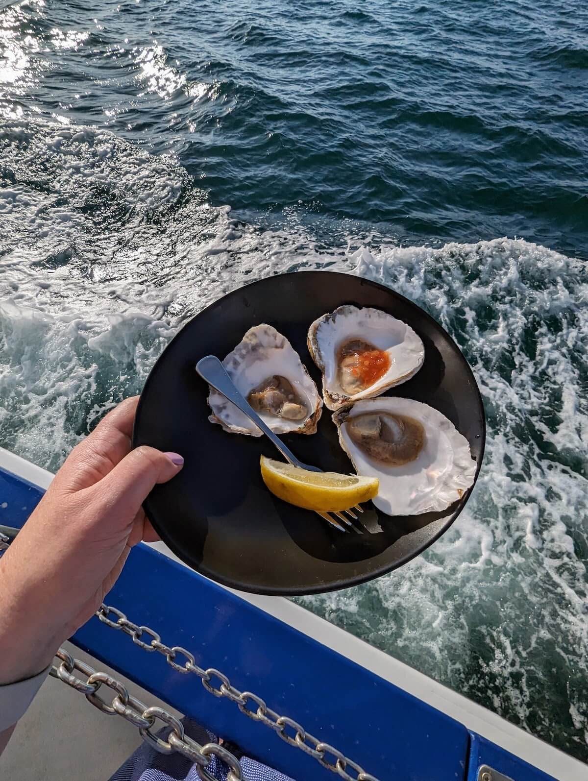 Fresh Oysters on the Portarlington Mussel Tours