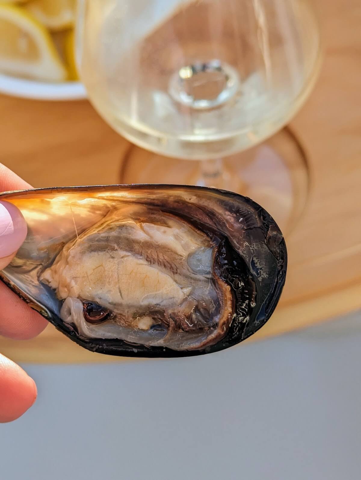 Raw mussel on a sunset Portarlington Mussel Tours